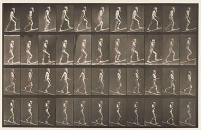 Plaat 489. A, helling beklimmen, 1872-1885 door Eadweard Muybridge