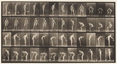 Plaat 490. A, Gaan Zitten; B, Gaan Zitten; C, Water Sprenkelen door Eadweard Muybridge