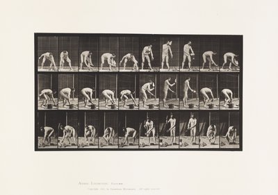 Plaat 506. Metselen door Eadweard Muybridge