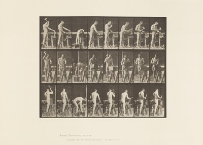 Plaat 507. Timmerwerk door Eadweard Muybridge