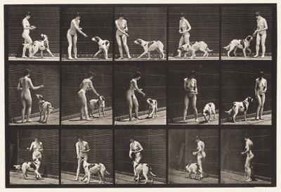 Plaat 514. Een hond voeren door Eadweard Muybridge