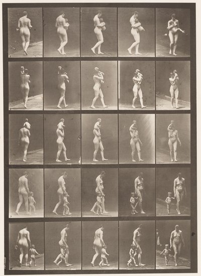 Plaat 528. A,B,C door Eadweard Muybridge