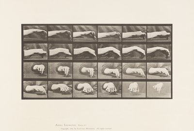 Beweging van de Hand; Een Cirkel Tekenen, 1885 door Eadweard Muybridge