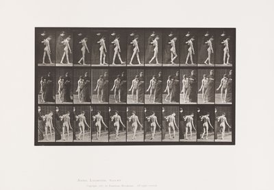 Plaat 541. Meervoudige Cerebro-Spinale Sclerose (Choreic); Wandelen door Eadweard Muybridge