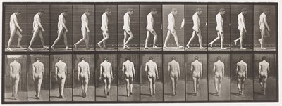 Epilepsie; lopen door Eadweard Muybridge