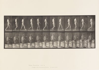 Epilepsie; lopen door Eadweard Muybridge