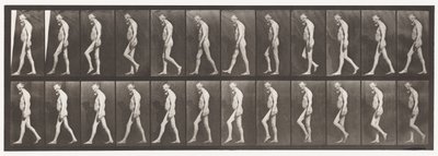 Plaat 555. Spieratrofie van benen; volwassene, A,B, lopen, 1885 door Eadweard Muybridge