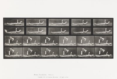 Plaat 556. Lokale Chorea; A, B, Liggend door Eadweard Muybridge