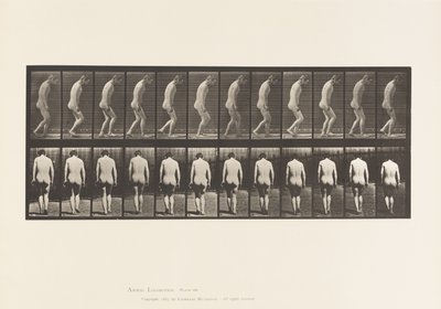Plaat 558. Paraplegie; gedeeltelijk; lopen, 1885 door Eadweard Muybridge