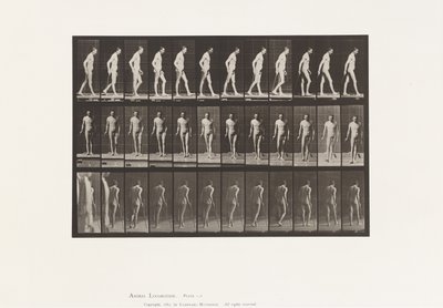 Plaat 559. Gedissemineerde Sclerose; Lopen met Stok door Eadweard Muybridge