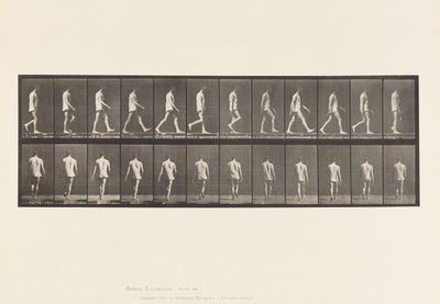 Plaat 560. Locomotorische ataxie; lopen, 1885 door Eadweard Muybridge