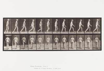 Plaat 562. Laterale Kromming van de Ruggengraat; Wandelen door Eadweard Muybridge
