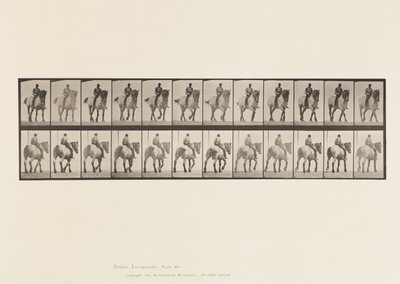 Plaat 578. Wandelen; Zonder Zadel; Donkergrijs Belgisch Paard Dusel door Eadweard Muybridge