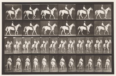 Lopen; Zadel; Wit Paard Elberon, 1885 door Eadweard Muybridge