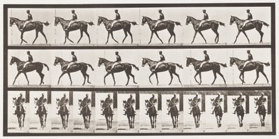 Plaat 580. Wandelen; zadel; volbloed vosmerrie Annie G., 1885 door Eadweard Muybridge