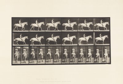 Plaat 582. Wandelen; Zadel; Ruiter, 43, Naakt; Lichtgrijs Paard Smith door Eadweard Muybridge