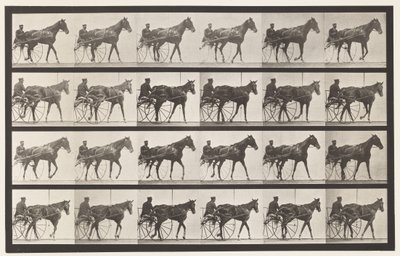 Lopen; Sulky; Vosmerrie Nellie Rose, 1885 door Eadweard Muybridge