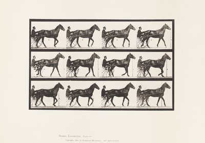 Lopen; Sulky; Bruin Paard Reuben, 1885 door Eadweard Muybridge