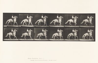 Draven door Eadweard Muybridge