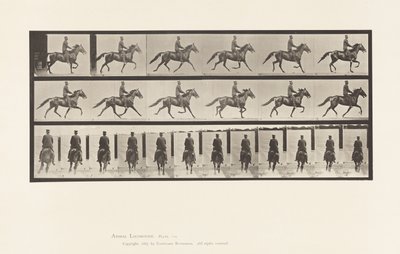 Plaat 592. Schommelen (Pacing): Zadel; Bruin Paard Pronto door Eadweard Muybridge