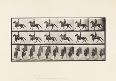 Plaat 593. Schommelen (Pacing): Zadel; Bruin Paard Pronto door Eadweard Muybridge