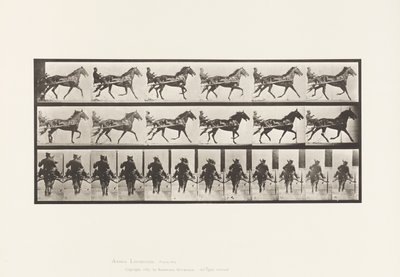Plaat 594. Schommelen (Pacing): Sulky; Bruin Paard Pronto door Eadweard Muybridge