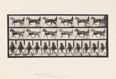 Plaat 595. Schommelen (Pacing): Sulky; Bruin Paard Pronto door Eadweard Muybridge