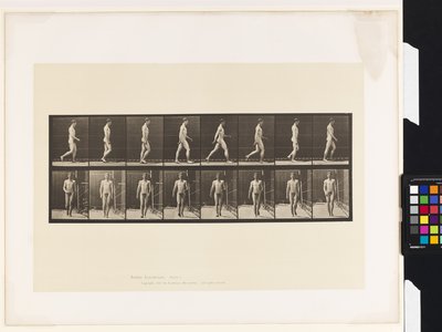 Plaat 5. Lopen door Eadweard Muybridge