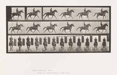 Plaat 601. Draven; Zadel; Bruine Merrie Beauty door Eadweard Muybridge