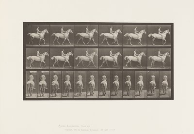 Plaat 602. Draven; Zonder zadel; Ruiter, 43, Naakt; Lichtgrijs paard Smith, 1885 door Eadweard Muybridge