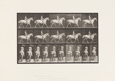 Plaat 603. Draven; Zadel; Rit, 43, Breed, Lichtgrijs Paard Smith door Eadweard Muybridge