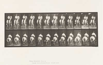 Plaat 604. Draven; Zadel; Wit Paard, Elberon door Eadweard Muybridge