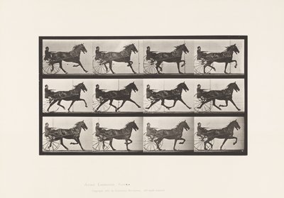 Plaat 606. Draven; Sulky; Bruin Paard, Reuben door Eadweard Muybridge
