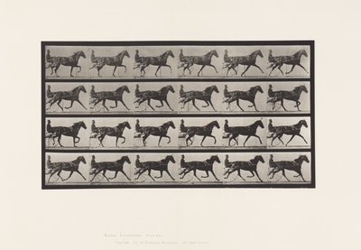 Plaat 608. Draven; Sulky; Vosmerrie, Flode Holden door Eadweard Muybridge