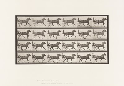 Plaat 609. Draven; Sulky; Bruine Merrie, Lizzie M. door Eadweard Muybridge