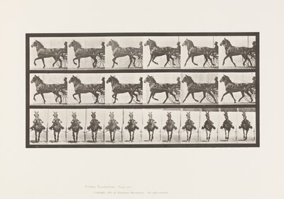 Plaat 612. Draven; Sulky; Bruin Paard, Dereumd door Eadweard Muybridge
