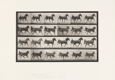 Plaat 613. Draven; Sulky; Vosmerrie Nellie Rose door Eadweard Muybridge