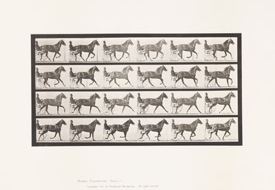 Plaat 614. Draven; Overgang naar Galop; Vosmerrie Flode Holden door Eadweard Muybridge