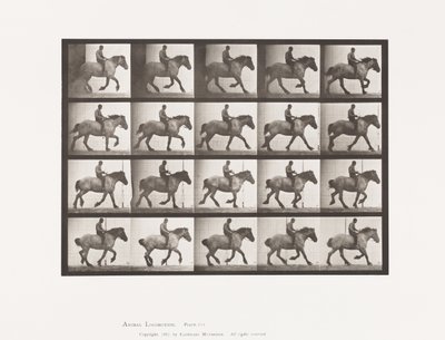 Plaat 615. Draf: Zonder Zadel; Donkergrijs Belgisch Paard Hansel door Eadweard Muybridge