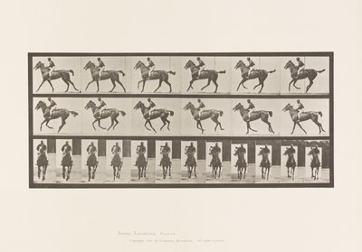 Plaat 621. Draf; Zadel; Volbloed Bruine Merrie Annie 6 door Eadweard Muybridge