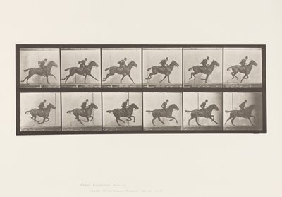 Plaat 624. Galop; Zadel; Bruin Paard Daisy door Eadweard Muybridge
