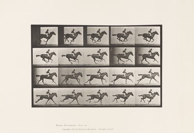 Plaat 627. Galop; Volbloed Vosmerrie Annie G. door Eadweard Muybridge