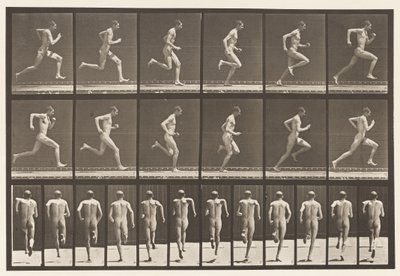 Rennen op Volle Snelheid, 1872-1885 door Eadweard Muybridge