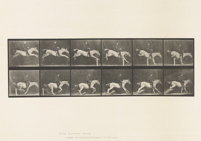 Plaat 641. Springen over een Hek; Zadel; Omverwerpen van Hek door Eadweard Muybridge