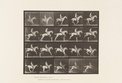 Plaat 642. Over een hindernis springen; Zadel; Ruiter, 105, Naakt; Grijze merrie, 1885 door Eadweard Muybridge