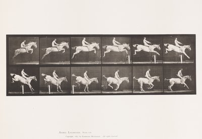 Plaat 643. Springen over een Hek; Zonder Zadel; Oversteken en Landen door Eadweard Muybridge
