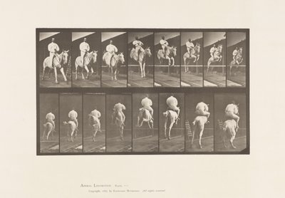 Plaat 644. Over een hindernis springen; Zadel; Oversteken en landen door Eadweard Muybridge
