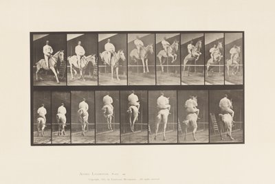 Plaat 645. Over een Hek Springen; Zadel; Oversteken en Landen door Eadweard Muybridge