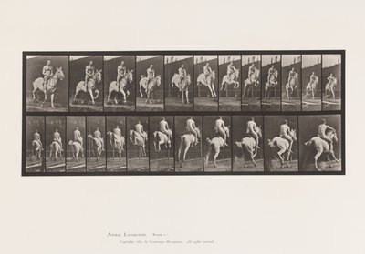 Plaat 646. Springen over een hindernis; Zadel; Ruiter, 105, Naakt;, 1885 door Eadweard Muybridge
