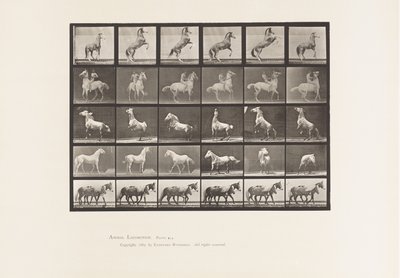 Plaat 652. A, B, C, D, E, Paarden steigeren, enz. door Eadweard Muybridge
